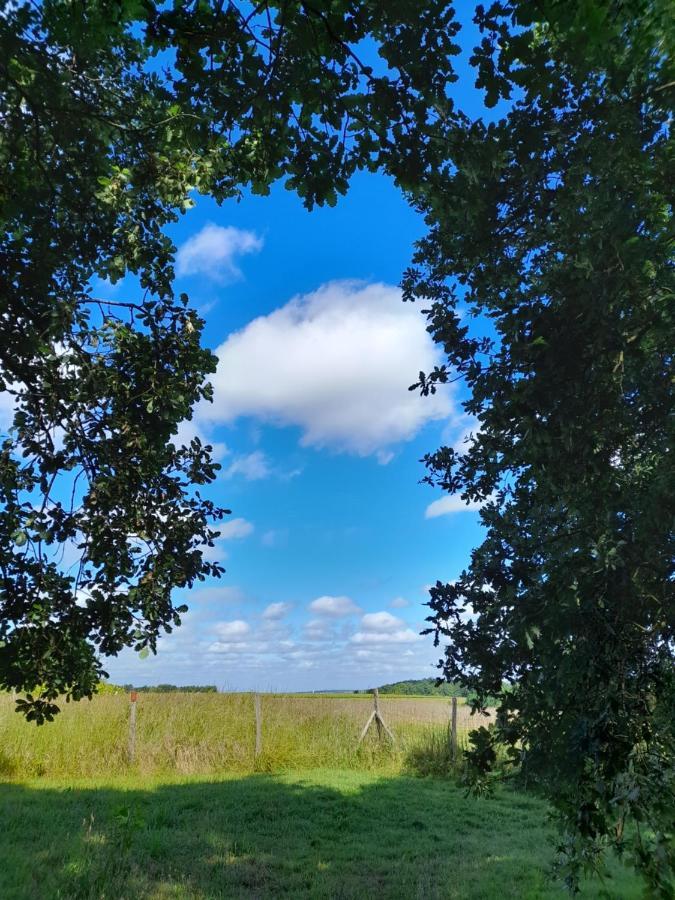 Le Clos De Epinettes Angé Eksteriør bilde